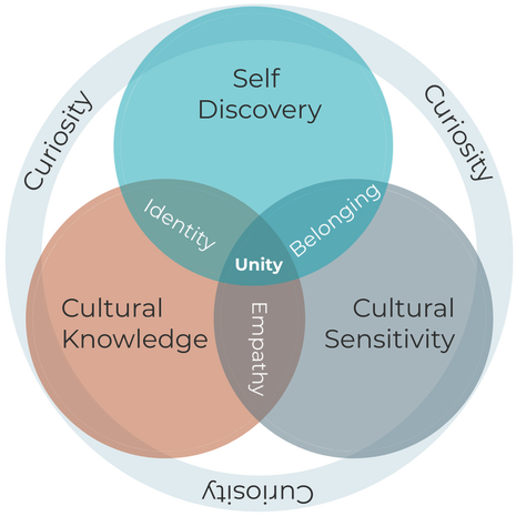 Cultured Kids Visual Framework showing their focus on fostering curiosity throughout their programs that develop children's cultural competencies and social and emotional competencies in order to unify schools. 